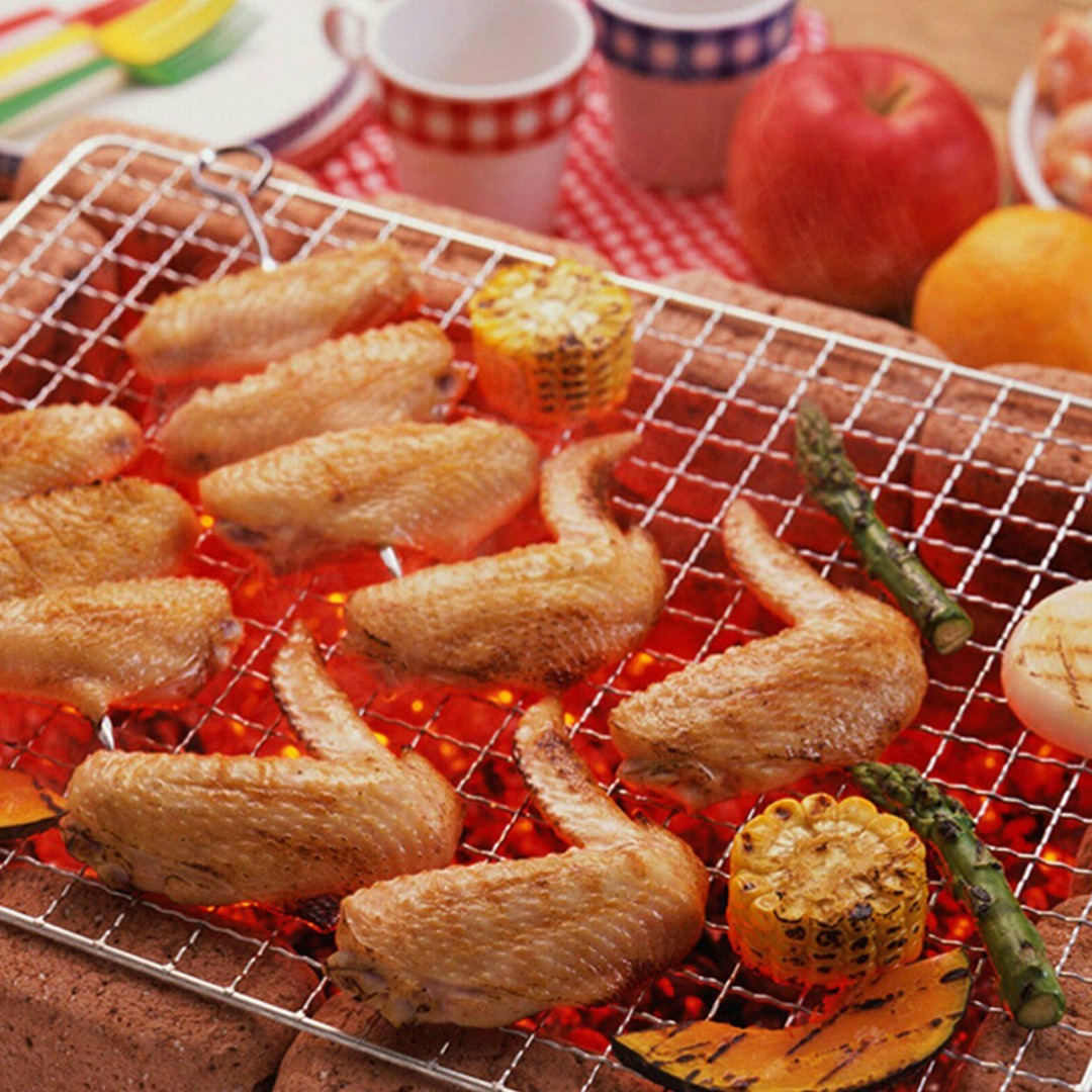 1pcs/2pcs 50 * 38cm BBQ Grill  - Camping Cooking Mesh 评论和价格