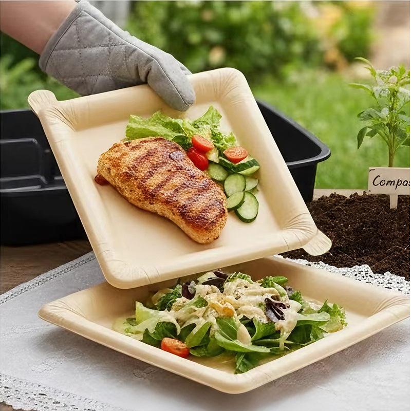 20PCS Food Grade Disposable Pa - Camping Cooking Disc 评论和价格