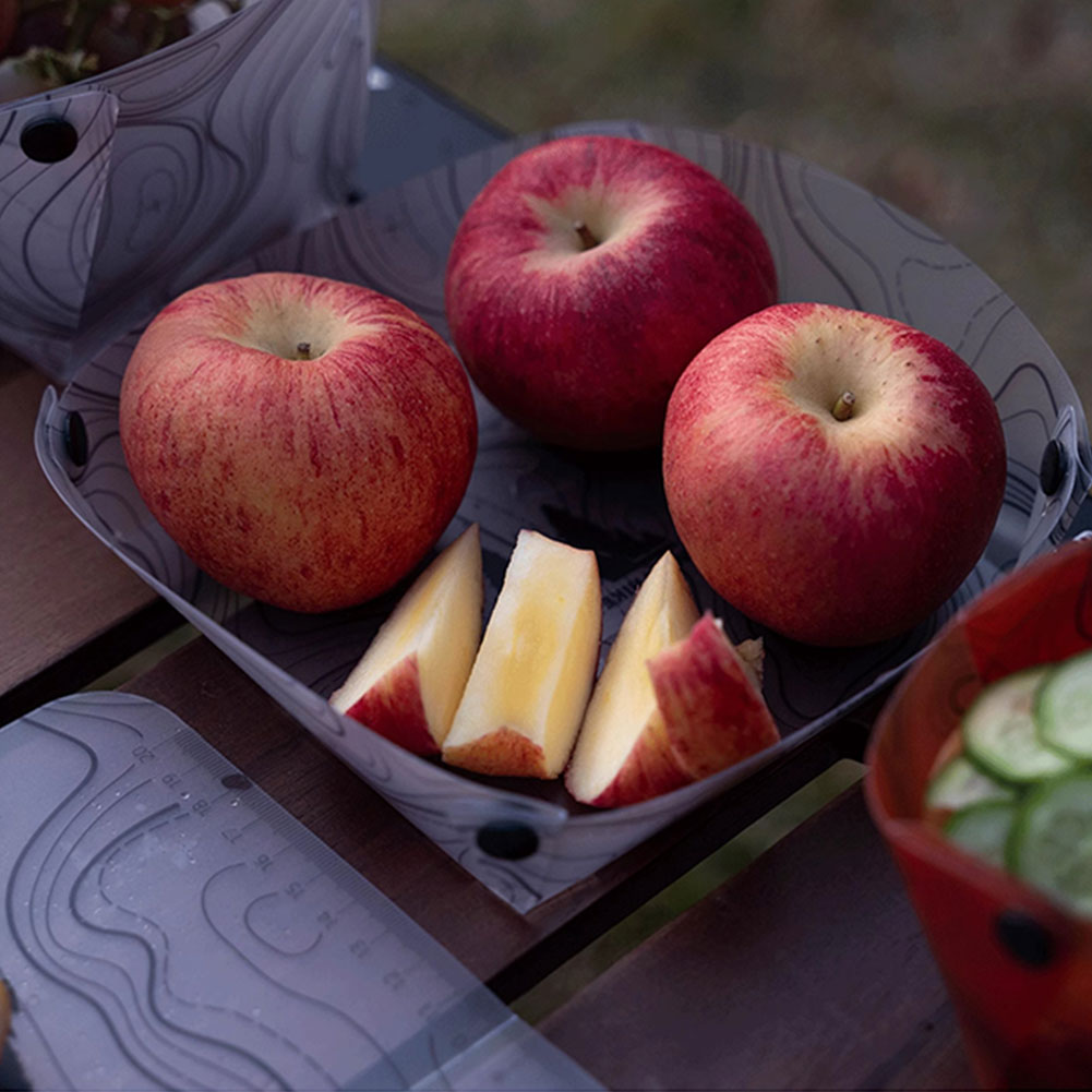Outdoor Lightweight Folding Ta - Camping Cooking Hot Plate 评论和价格